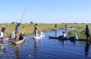 Captivating Boat Cruise Day Tour At Okavango Delta
